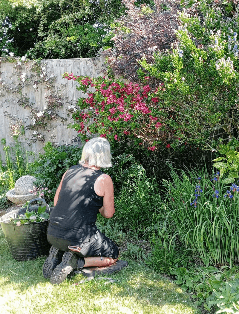 Someone kneeling down gardening