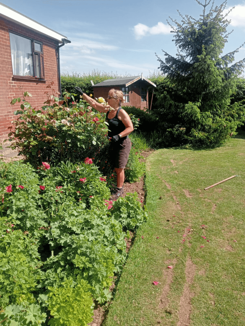 A person pruning a bush