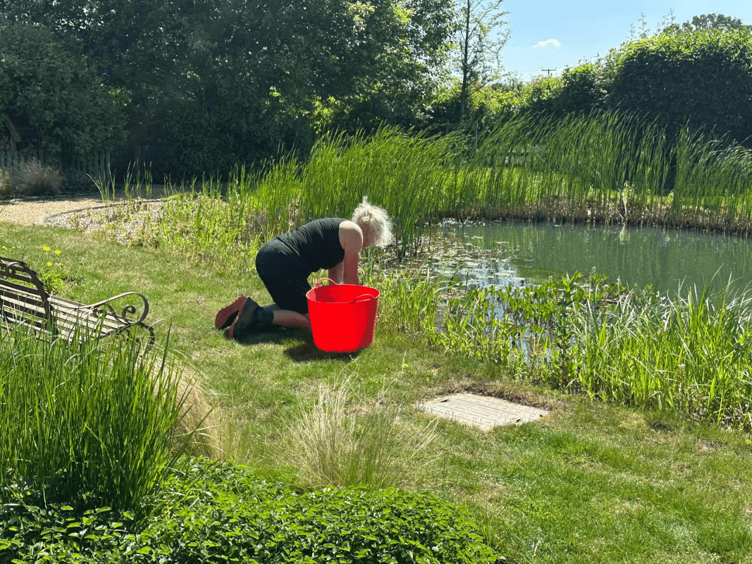 A person kneeling down, next to a pond, gardening