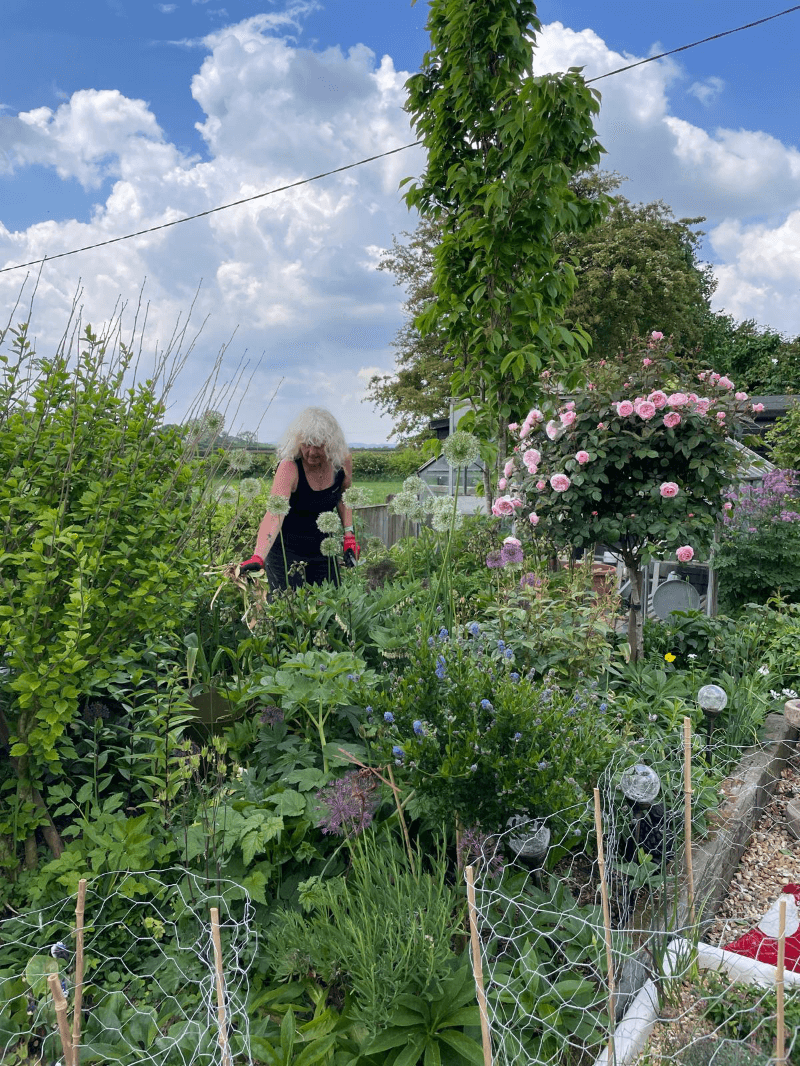 A person gardening